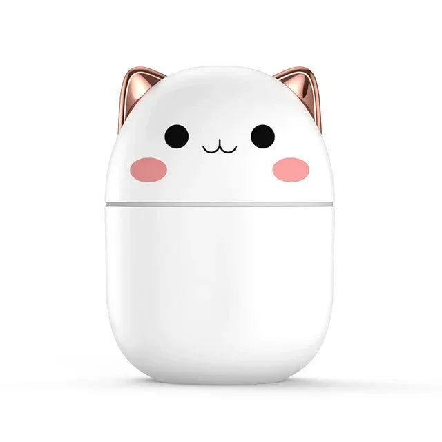 Humidificateur d’air mignon 250ml