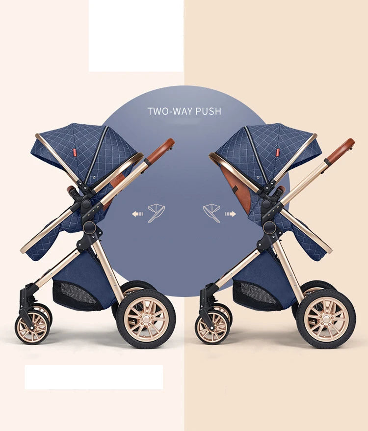 Poussette 2 en 1 pour bébé