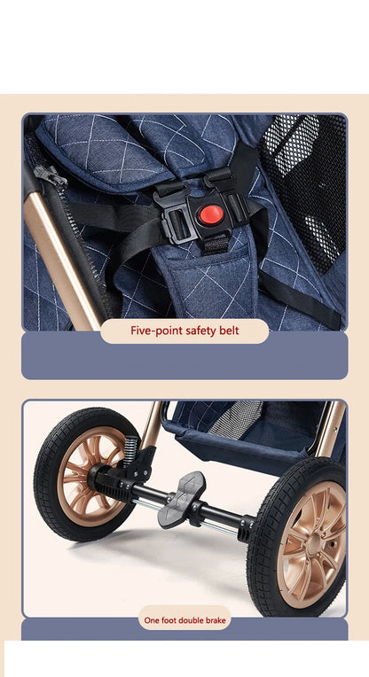 Poussette 2 en 1 pour bébé
