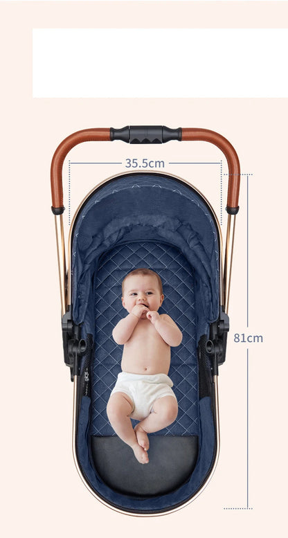 Poussette 2 en 1 pour bébé