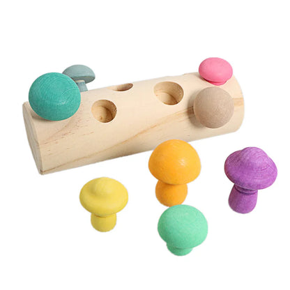Jouet de cueillette de champignons en bois