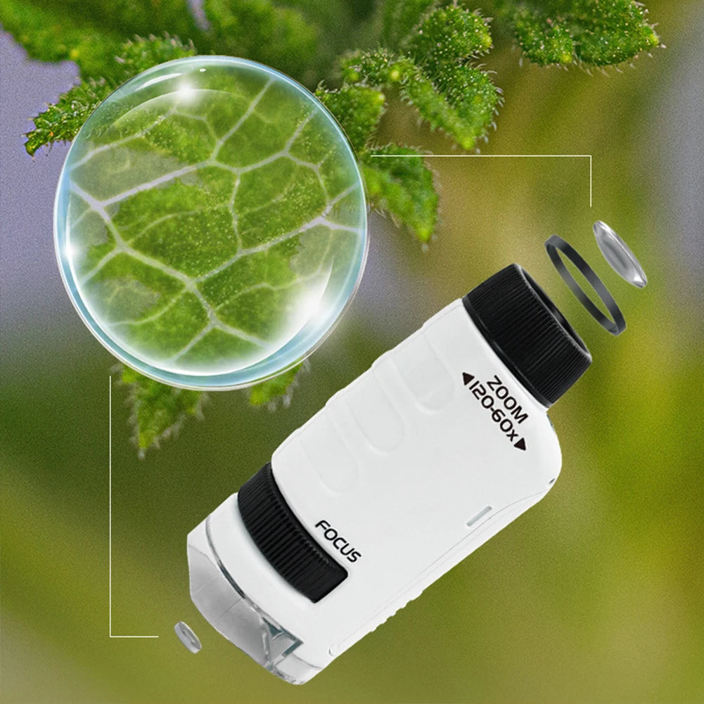 Microscope portable de poche 60X à 120X