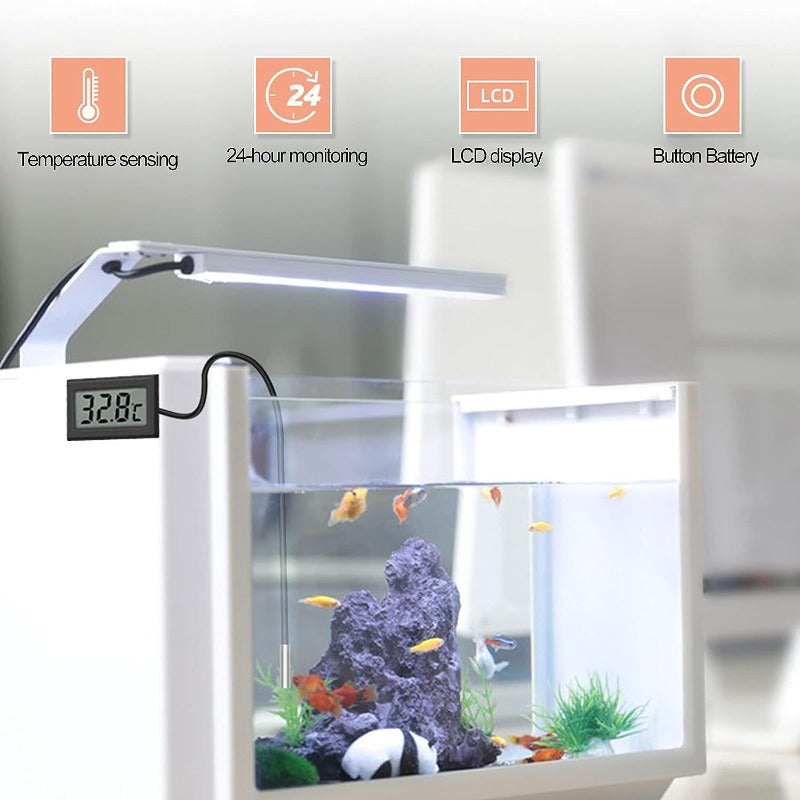 Thermomètre à affichage numérique LCD