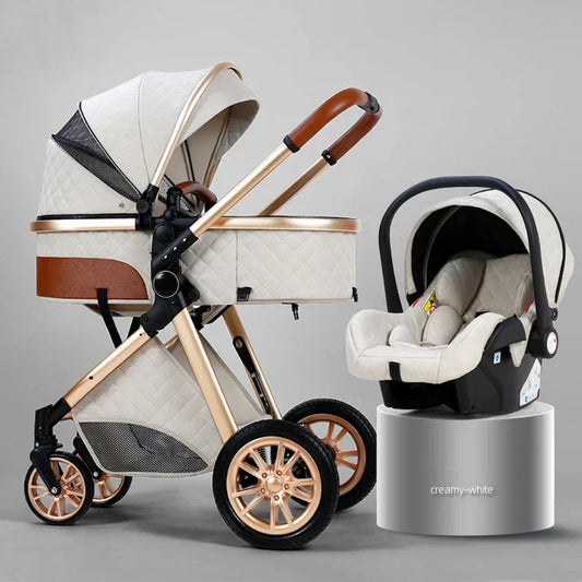 Poussette 2 en 1 pour bébé