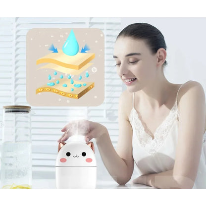 Humidificateur d’air mignon 250ml