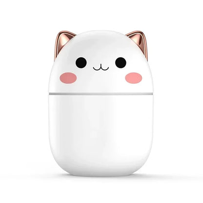 Humidificateur d’air mignon 250ml